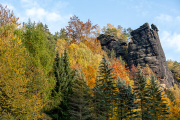 Herbst Sächsische Schweiz Sachsen Blätter Felsen Wald Weg Spazieren Spaziergang Autumn