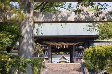 諏訪神社の長坂と大門