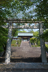 諏訪神社の長坂と大門