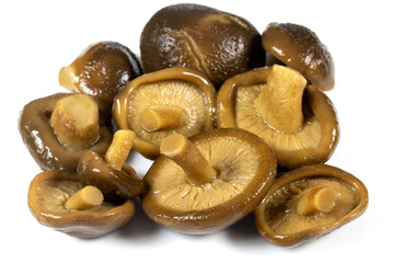 champignons asiatiques shiitake sur un fond blanc © ALF photo