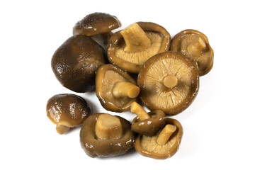 champignons asiatiques shiitake sur un fond blanc
