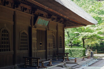 Fototapeta na wymiar 日本の埼玉県、初夏の平林寺の美しい自然の風景