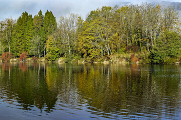 Forêt en automne le long d'une rivière