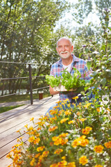 Senior on the balcony with flowers and basil