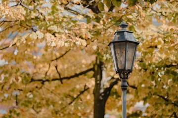 lamppost among the autumn leaves