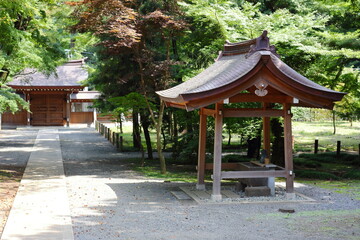 日本の埼玉県、初夏の平林寺の美しい自然の風景