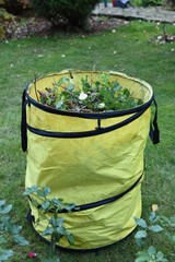 Garden organic trash after rose bush pruning in yellow gardener bag with handles. Autumn garden...