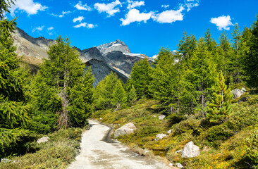 Fototapeta na wymiar View of the Swiss Alps near Zermatt
