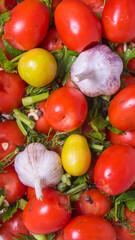 Tomatoes, spices dill, parsley, pepper, cloves, Bay leaf, celery, garlic, close-up, background,space copy,
