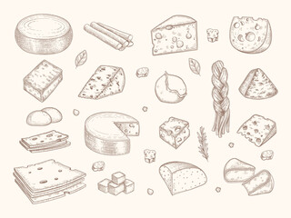 Drawn cheese. Gouda parmesan mozzarella delicious gourmet milk organic sliced products vector illustration. Mozzarella and parmesan drawing doodle food