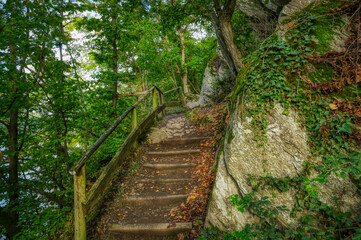 Treppe auf einem Wanderweg  am Rur-Staubecken in der Eifel