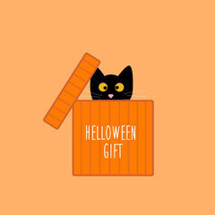 Halloween Gift Box. Black Cat in box