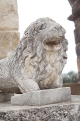 Obraz premium Lion sculpture in Arena of Pula, Coloseum in Pula, Istria, Croatia. october 2016