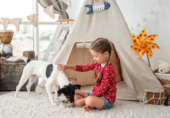 Little girl feeding fox terrier at home © tan4ikk