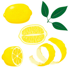 Set of whole, cut in half, sliced on pieces fresh lemons and leaves, lemon peel. Hand drawn vector illustration isolated on white background