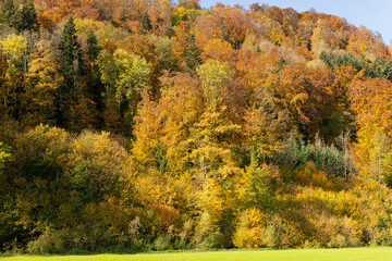 Obraz premium Herbst