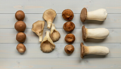 Mushrooms knolling concept