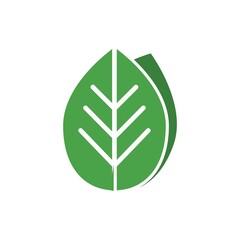 Leaf Flat Icon Vector Logo Template Illustration