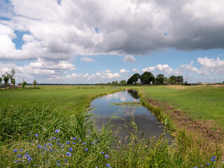 Natural river at the polder of Eemnes in the Netherlands