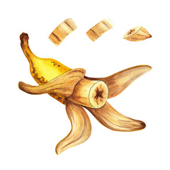 Watercolor Hand Drawn Clip Art Food Illustration Fruit Peeled Sliced Banana Isolated on White Background