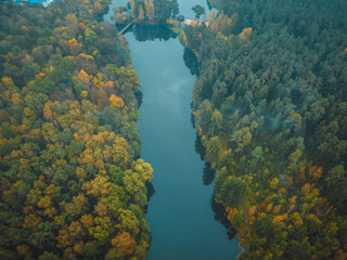 Naklejka na ściany i meble view from the bird's eye view of the beautiful river and colorful autumn forest on a cloudy day, the photo with the drone.
