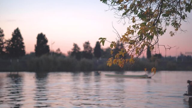  Autumn Lake And Motorboat