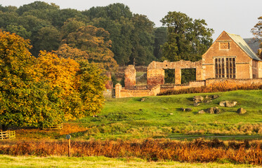 Obraz premium UK - Leicestershire - Bradgate Park
