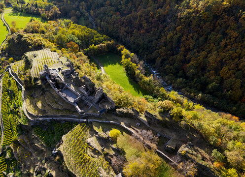 รูปภาพFaustino – เลือกดูภาพถ่ายสต็อก เวกเตอร์ และวิดีโอ180 | Adobe Stock