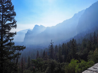 point of view of The pine in the foggy at Yosemite national park, National park in California, USA