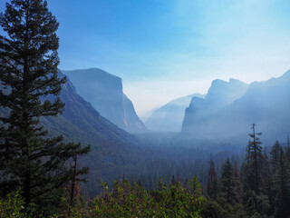 point of view of The pine in the foggy at Yosemite national park, National park in California, USA