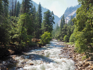 Obraz premium Beautiful Yosemite falls and the pine at Yosemite national park, National park in California, USA