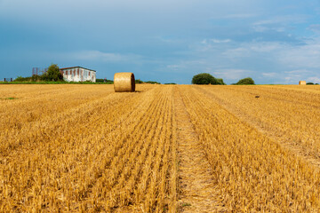 Fototapeta premium Herbstliche Impressionen aus Schleswig-Holstein im Oktober.