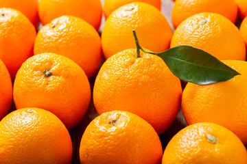 fresh orange fruits, top view