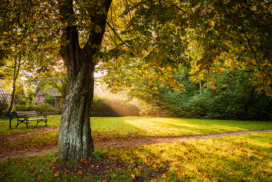 Herbstliche Impressionen aus Schleswig-Holstein im Oktober.