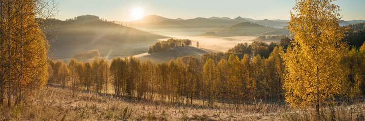 Picturesque autumn view, sunrise. Morning fog over a mountain valley, golden autumn. Panoramic view.