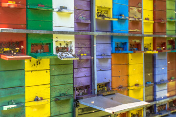Colorful beehives