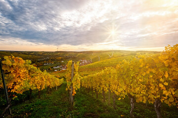 Fototapeta premium Weinberge in Volkach 