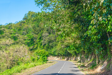 Country road surrounded by tropical vegetation in Guadeloupe