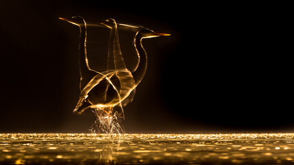 Fototapeta na wymiar Long exposure Silhouette of Grey heron hunting at night