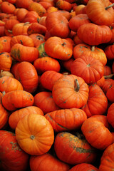Background of autumn orange pumpkin
