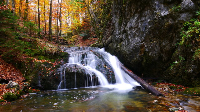Miesbach, Deutschland: Ein Wasserfall im herbstlichen Wald