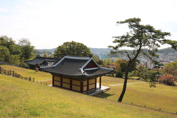 japanese garden in the park