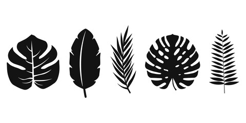 tropical leaf silhouette elements set isolated on white background. Palm, fan palm, monstera, banana leaves. Vector illustration in black and white colors