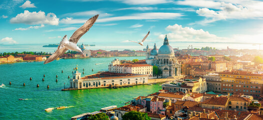 Venice and San Marco - obrazy, fototapety, plakaty