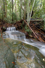 A small water cascade on the creek in the middle of forest.