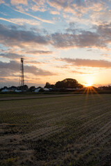 Obraz premium sunset sky over the agricultural land