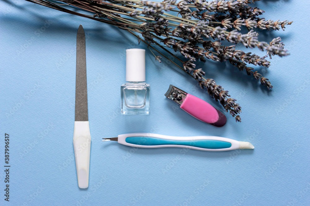 Wall mural manicure tools set isolated on blue background with lavender flower