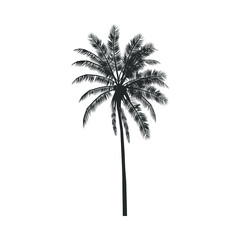 Obraz premium Palm tree icon. Tropical palm sign isolated on white background. Detailed symbol. Vector illustration