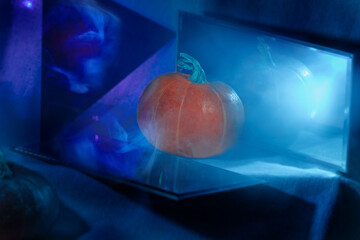 A pumpkin on a blue background with blue lights, mirror and reflection on dark background....