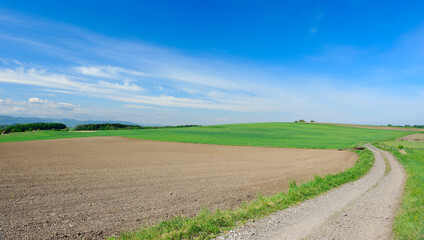 Country road - agriculture landscape.